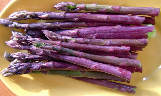 Thực phẩm màu tím- 5 tác dụng của thực phẩm màu tím có thể bạn chưa biết